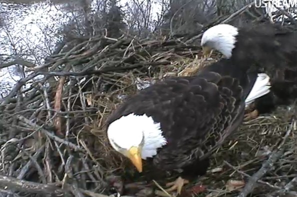 ScreenHunter_31 Feb. 21 11.16.jpg